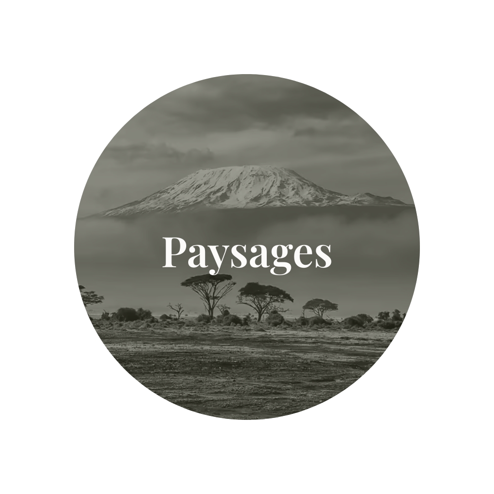 Paysages